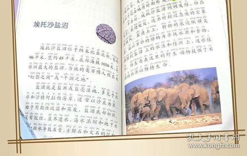 奇观的拼音和意思，奇观的拼音怎么拼写
