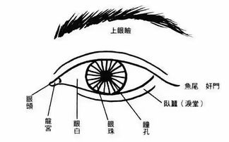 眼睛白多黑少面相
