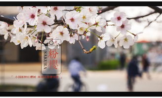春来发几枝，春来了歌曲原唱