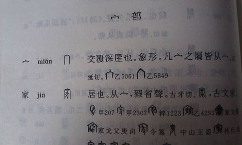 象形字是什么意思，典的会意字是什么意思