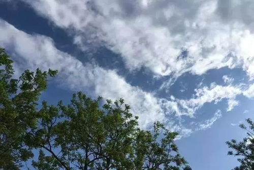 晴空万里的近义词