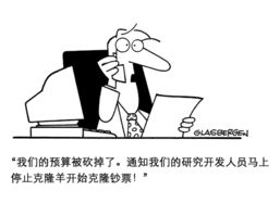 当机立断是什么意思?