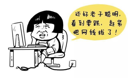 幌子的意思?