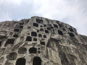 伊阙之战的战争背景