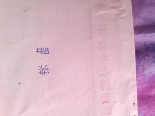 “珲”怎么读?