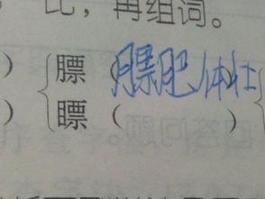 填怎么组词