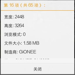 古文的 览是什么意思