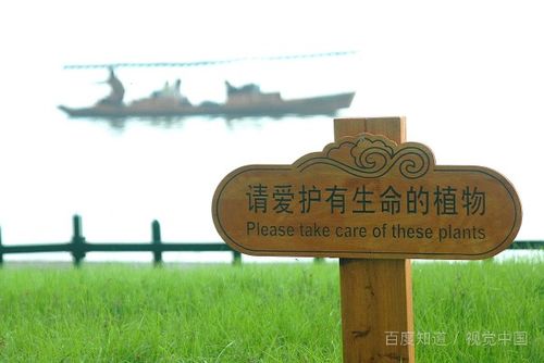 小草的反义词是什么请回答