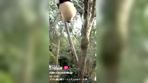 切切私语是什么意思