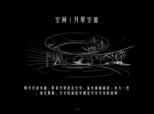 什么是“月华”