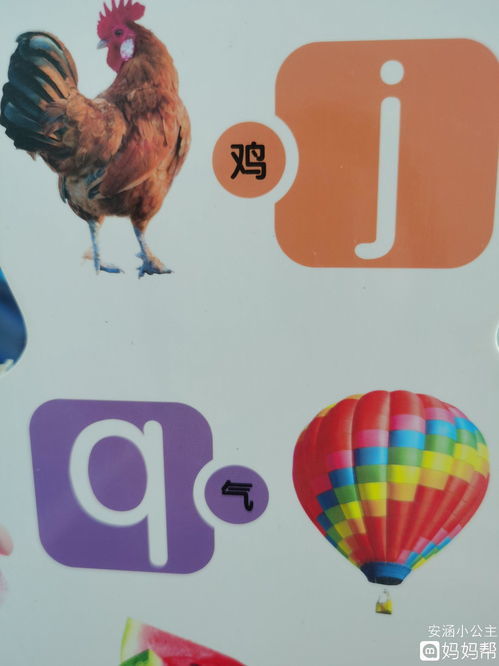 “分外”的读音是什么?