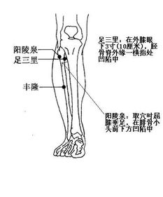 什么叫做垂足
