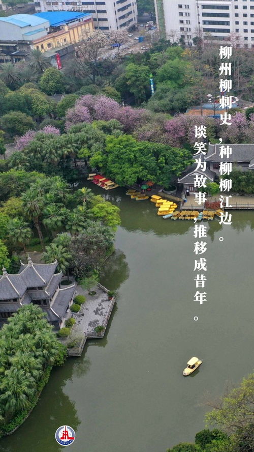 柳宗元《种柳戏提诗》的诗意