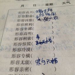 dai三声开头的成语有没有?