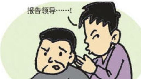 四处收风是指什么生肖，四处纷飞的意思是什么