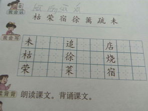 篱的拼音是什么