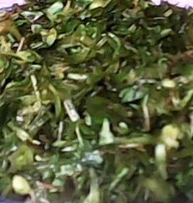 灵草别名