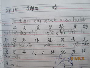 周拼音怎么打，雕拼音怎么读