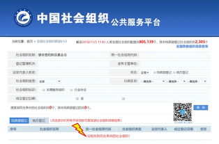 全国慈善组织公开信息在哪查