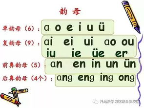 状怎么读 状的拼音是什么