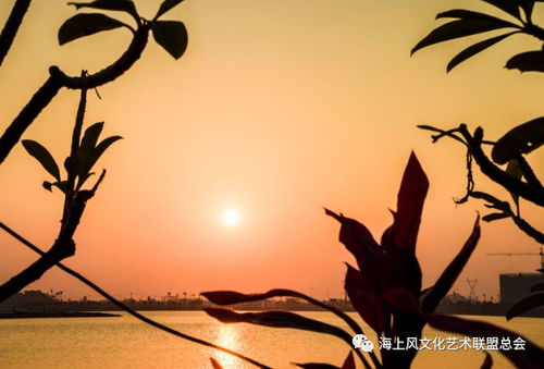 笙箫怎么读什么意思，笙箫怎么读音读出来