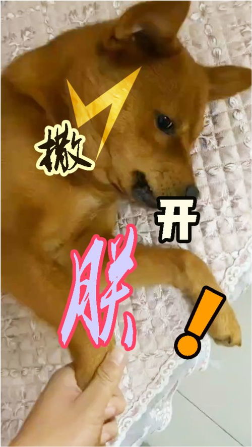 撒开是什么意思 撒开的意思简单介绍