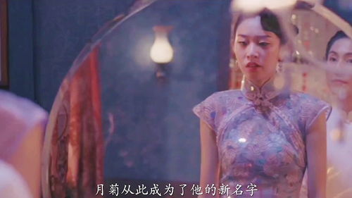 沦落风尘是成语吗，沦落风尘历艰辛代表什么生肖