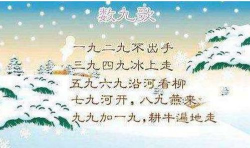 数九寒冬的意思是什么意思