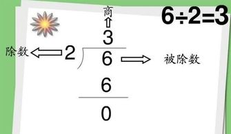 什么是乘数,被乘数,除数,被除数