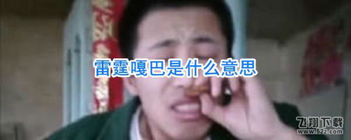 “巴嘎”是什么意思?