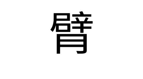 手臂的臂查什么部首