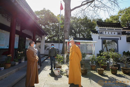 纳粹德国的梅福券在哪一年被废除