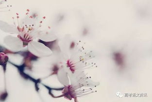 龙吟虎啸开柙出虎月夕花朝是什么意思