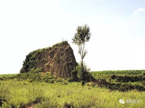 shan固，山固怎么读