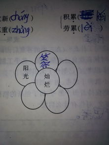 尼的组词是什么，金结尾的组词