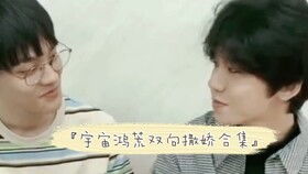 解夏是什么意思