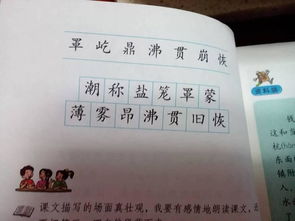 蘸组词组，拂组词