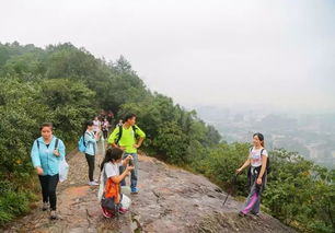 北高峰晚上可以爬吗，北高峰索道