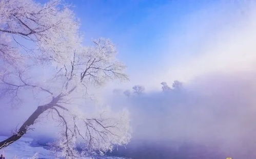 古诗《咏雪诗》的全文及翻译是什么?