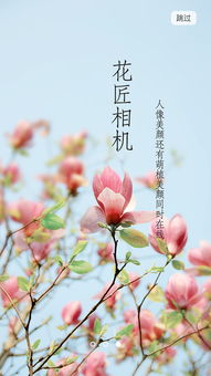 花匠先生代运营，花匠英文