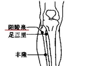 垂足的定义，垂足怎么画