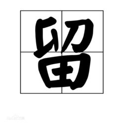 以之从政,则案无留牍翻译