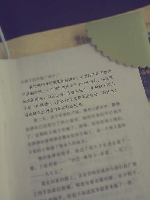 这个叙怎么读，卿清叙怎么读