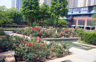 花港观鱼最好游玩时间是什么时候