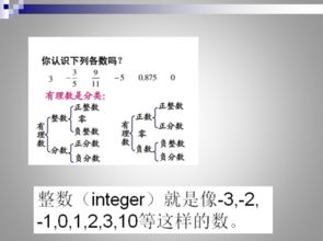 什么叫整数除法，数学里什么叫整数