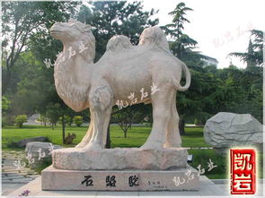 悬石图片，悬是啥意思?