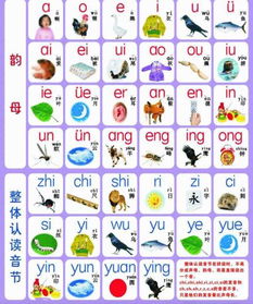 “挨挨挤挤”、“数九严寒”、“载着”的拼音是什么?