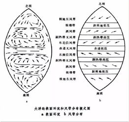 赤道潜流的厚度约200~300米，赤道潜流形成机制