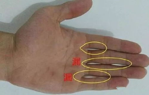 缝隙的意思和造句，缝隙的意思或解释