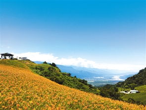 满山遍野的近义词，满山遍野的花怎么形容